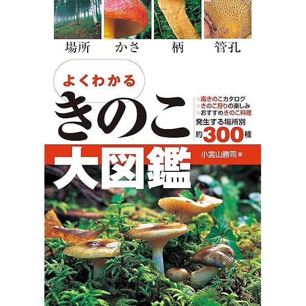 おいしいきのこ毒きのこハンディ図鑑 | 大作 晃一, 吹春 俊光