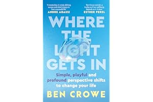 Where the Light Gets In: Simple, playful and profound perspective shifts to change your life