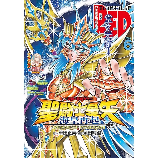 No.２‼️y's プロフィール読んでください！品‼️オールレッド使用 RED CARD TOKYO（レッドカード トーキョー）｜Phraseアイテムの詳細