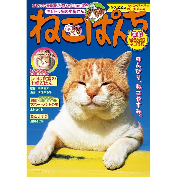 Amazon.co.jp: ねこぱんち No.223 桜ひらひら春ネコ号 (にゃんCOMI