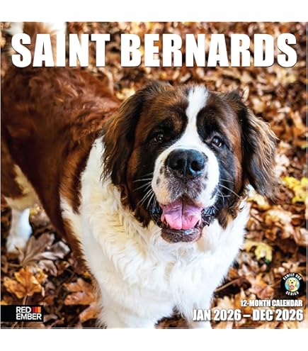 Amazon.co.jp: Hi-Line Gift Ltd 座っているセントバーナード子犬 675