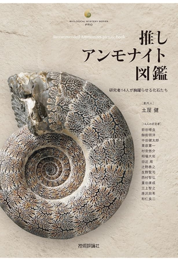 Amazon.co.jp: 石の中のうずまき アンモナイト (たくさんのふしぎ傑作