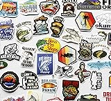 50枚 魚釣りステッカー 車 アウトドア ルアー フライフィッシング デカール 釣具 タックル ボックス ステッカー トラウト