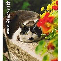 とらねこ (IWAGO'S BOOK) | 岩合 光昭 |本 | 通販 | Amazon