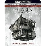 Cabin in the Woods [Blu-ray]