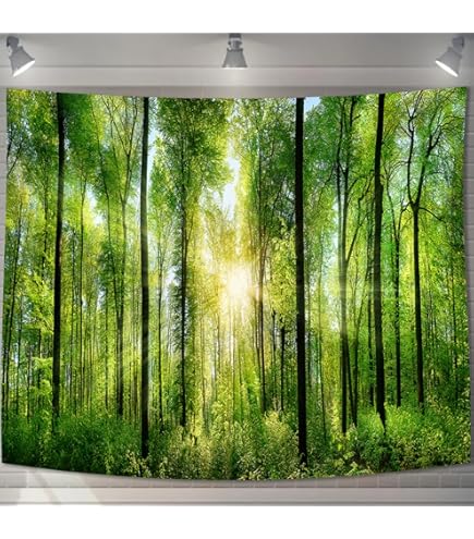 パタゴニア タペストリー　希少品　 非売品　店舗用バナー　壁掛け 2025年最新】パタゴニア バナーの人気アイテム - メルカリ