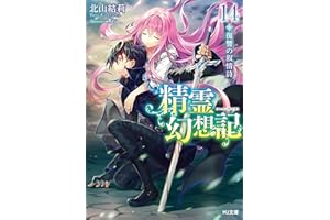 精霊幻想記　14.復讐の叙情詩 通常版 (HJ文庫)