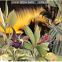 レコード Lonnie Liston Smith Loveland レアグルーヴ LONNIE LISTON SMITH LOVELAND LP レコード - メルカリ