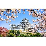 ピントー(Pintoo) 1000ピース プラ製ジグソーパズル【桜の姫路城(兵庫県)】(38X59cm)大人向け難しい 破片なし カチっとハマる[H1436]