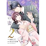 お気の毒さま、今日から君は俺の妻2巻 (Berry's COMICS)