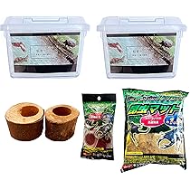 Amazon | カブトムシ＆クワガタムシ 飼育セット ☆amazon.co.jp