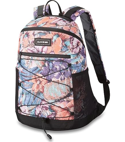 スノーボードバッグ サイズ157cm スノーボード ブランドDAKINE Amazon