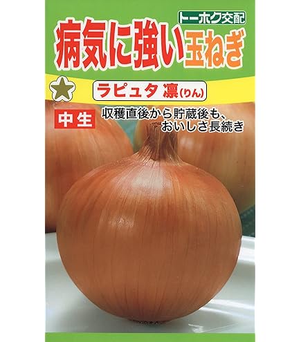 ジェットスター タマネギ 100g 楽天市場】ナント種苗 タマネギ ジェットスター玉葱(早生タイプ