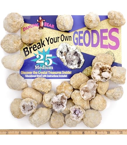 Amazon.co.jp: XXTOYS Break Open プレミアムジオード 10個 – ゴーグル