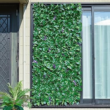 Amazon.co.jp 人気ギフトランキング: グリーンカーテン で、ギフトの