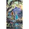 『プリンセスと魔法のキス』ティアナ,ナヴィーン ディズニー - 『プリンセスと魔法のキス』ティアナ,ナヴィーン XFVGA(480×854)壁紙 38159