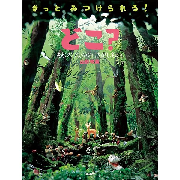 どこ? とびらの むこうの さがしもの　カバーあり　計11冊 1日1ブログ その195：どこ？ - 白昼夢