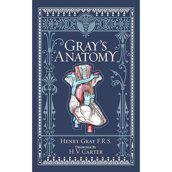 Gray's Anatomy for Students: With Student Consult Online Access