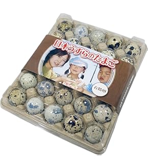 孵卵器　おまけ付き 楽天市場】卵 孵化 装置の通販