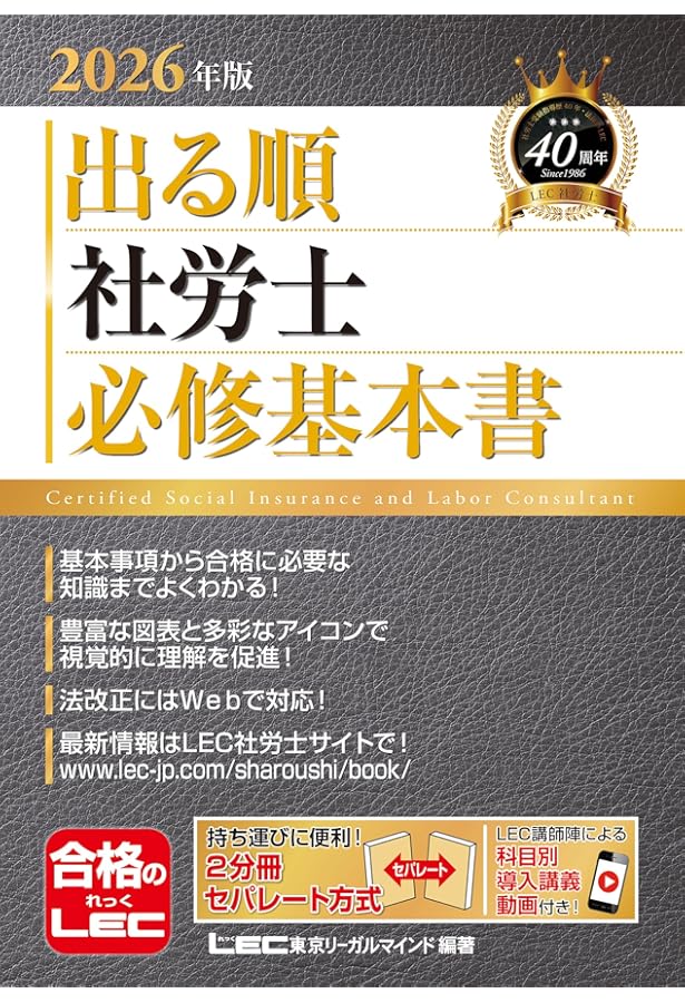 未使用】2025年版スタディング 社会保険労務士試験 労働科目セット