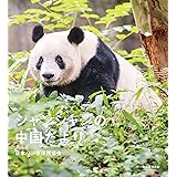 シャンシャンの中国だより
