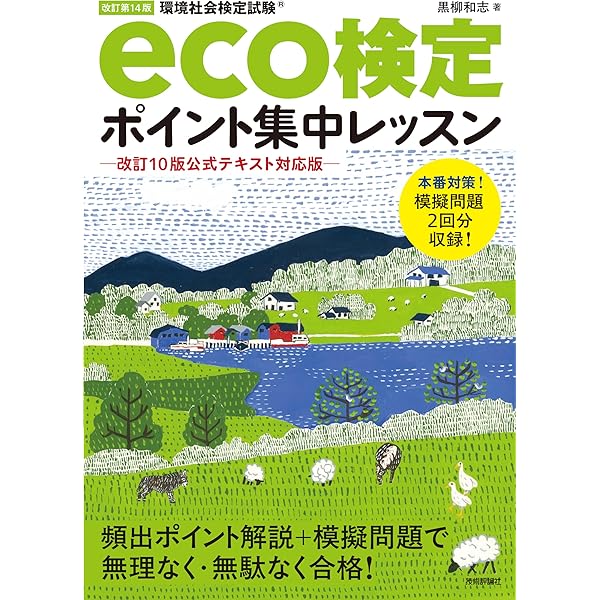 SEG 受験教材　青本 青本3冊セット(seg)(補足プリント付き) - メルカリ