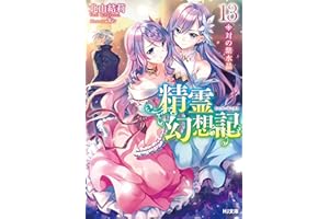 精霊幻想記　13.対の紫水晶 (HJ文庫)