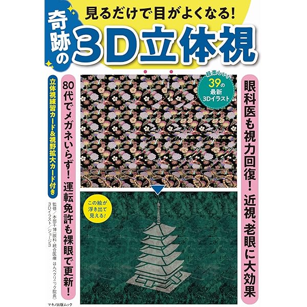 見るだけで目がよくなる! 奇跡の3D立体視 (マキノ出版ムック