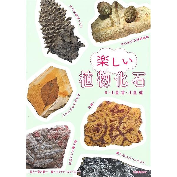 Amazon.co.jp: 植物化石――5億年の記憶 (INAX BOOKLET) : 西田治文