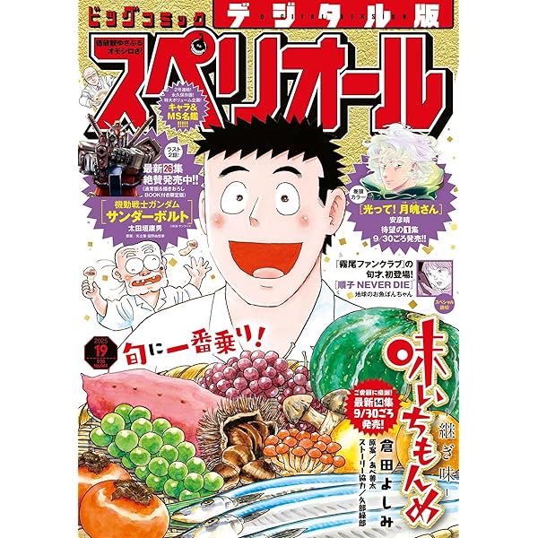 【雑誌 懸賞当選品】ビッグコミックスペリオール6号 機動戦士ガンダムB3ポスター 雑誌 懸賞当選品】ビッグコミックスペリオール6号 機動戦士