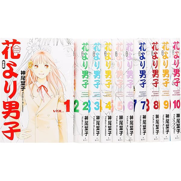 花より男子 完全版 コンプリートBOX (花より男子 完全版