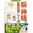 運動・からだ図解 脳・神経のしくみ