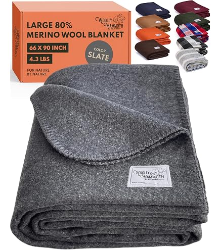 Amazon｜Hudson Bay 8 Point Blanket, Scarlet with Black Stripes by