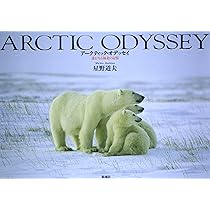 星野道夫の仕事 全巻セット 51Rx9qdQFCL._AC_UF350,