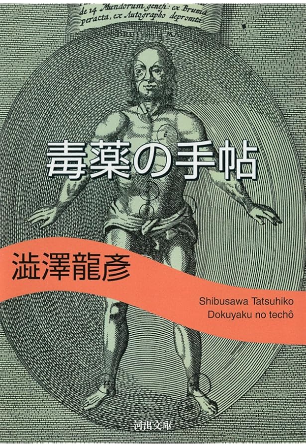 Amazon.co.jp: 思考の紋章学 新装新版 (河出文庫 し 1-11