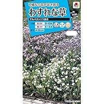 わすれな草樣 71JuJ1mSz1L._UF350,350_QL50_.jpg