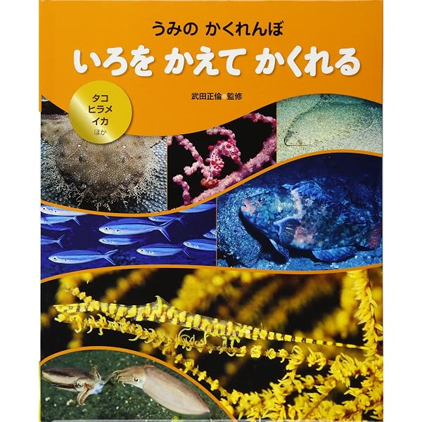 うみのかくれんぼ(全3巻セット) | 武田正倫 |本 | 通販 | Amazon