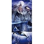 ラッセン iPhone 15,14,13,12,11,X 壁紙(1125x2436) オルカ イヴII ラッセン iPhone 15,14,13,12,11,X 壁紙(1125x2436) オルカ イヴII