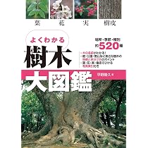 よくわかる 樹木大図鑑 | 平野隆久 |本 | 通販 | Amazon