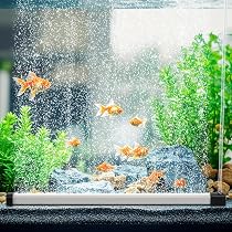 Amazon | hygger エアーストーン 水槽 細かい泡 エアストーン いぶき