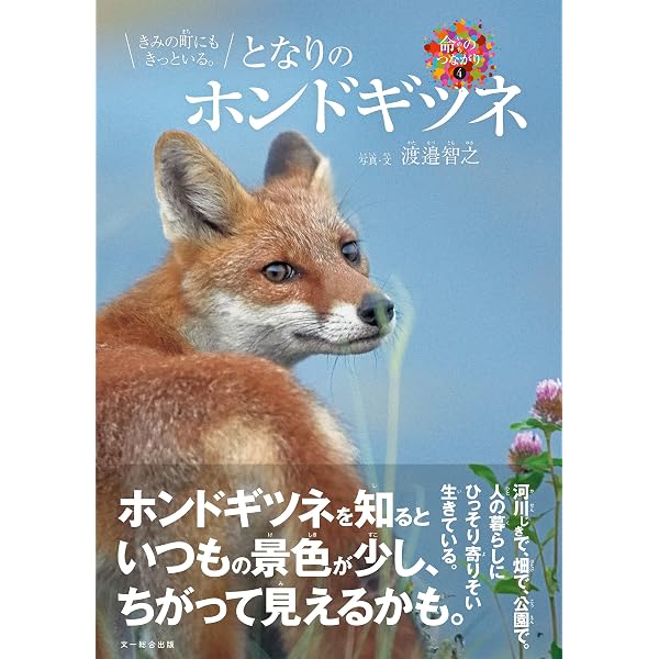 Amazon.co.jp: 野生動物学者が教えるキツネのせかい 電子書籍: 塚田
