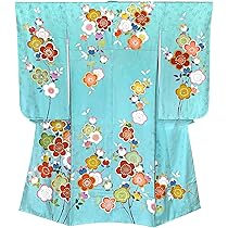 美品　大きめ7歳さん〜　ハーフ成人式　七五三 七五三/ハーフ成人式写真撮影】美人姉妹のお着物姿 ｜店舗ブログ