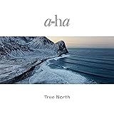 トゥルー・ノース