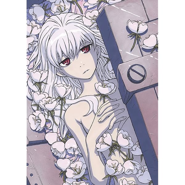 DARKER THAN BLACK 流星の双子 DVD 初回全8巻 Amazon.co.jp: DARKER THAN BLACK -流星の双子- 8 [DVD] : 木内