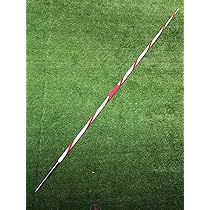 専用！　インドネシア多肉　シルバープリンス錦　レッドプリンス錦　抜苗　速達発送 Cryptocoryne sp.Lingga 26 H22/12/23 黄色花 増殖 |