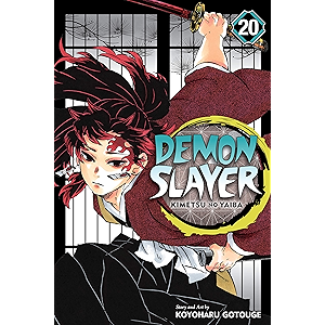 Demon Slayer: Kimetsu no Yaiba, Vol. 20: The Path Of Opening…