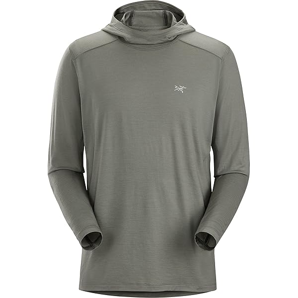 Amazon.co.jp: [アークテリクス] Rho LT Zip Neck Men's ロー LT