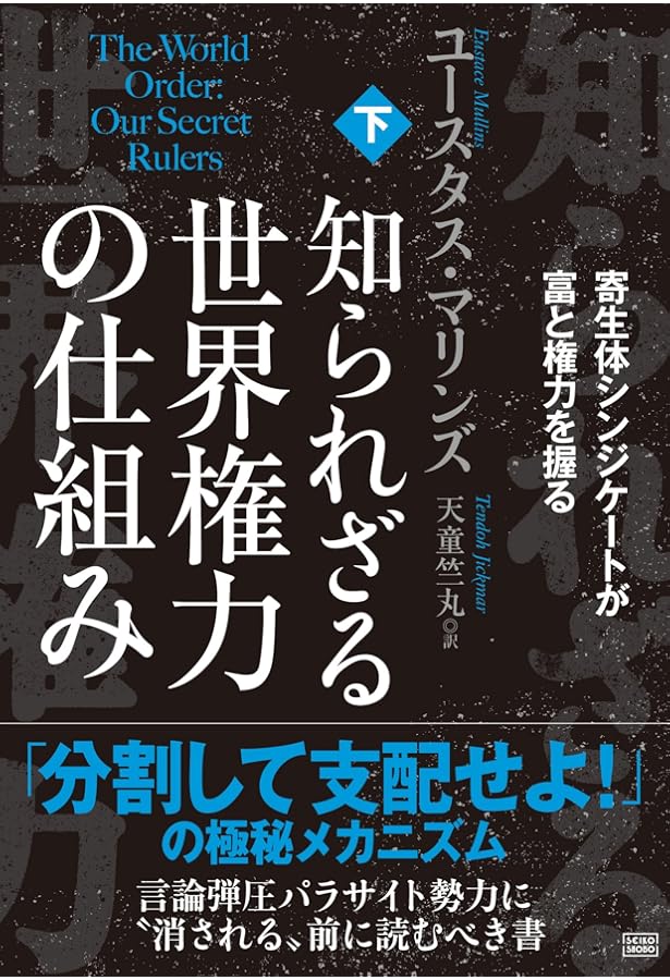 民間が所有する中央銀行: 主権を奪われた国家アメリカの悲劇
