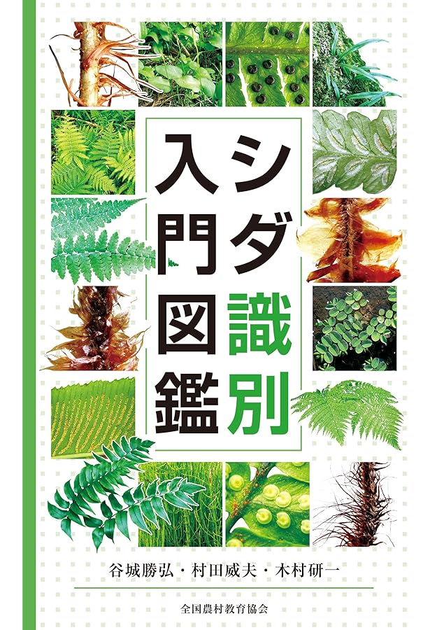 Amazon.co.jp: 写真でわかるシダ図鑑 : 池畑 怜伸: Japanese Books