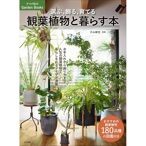 Amazon.co.jp: グリーンインテリア 観葉植物のある生活 (ブティック